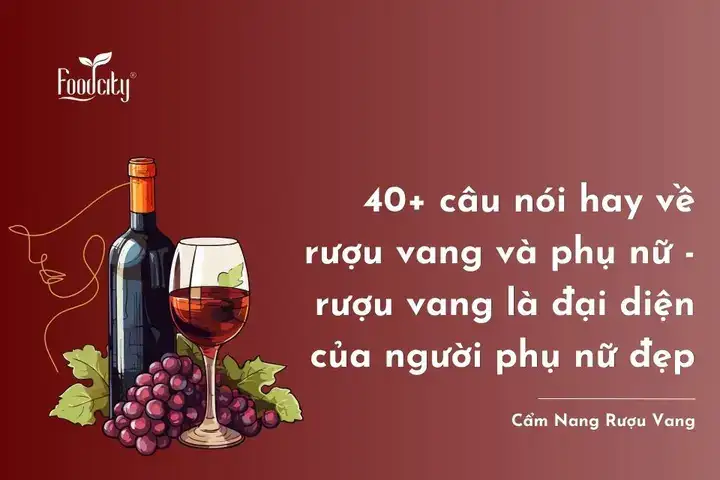 câu nói hay về rượu vang và phụ nữ câu nói hay về rượu vang và phụ nữ