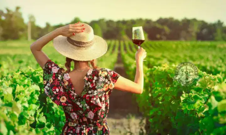 câu nói hay về rượu vang và phụ nữ câu nói hay về rượu vang và phụ nữ