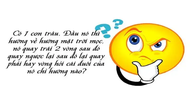 những câu nói hack não nhất những câu nói hack não nhất