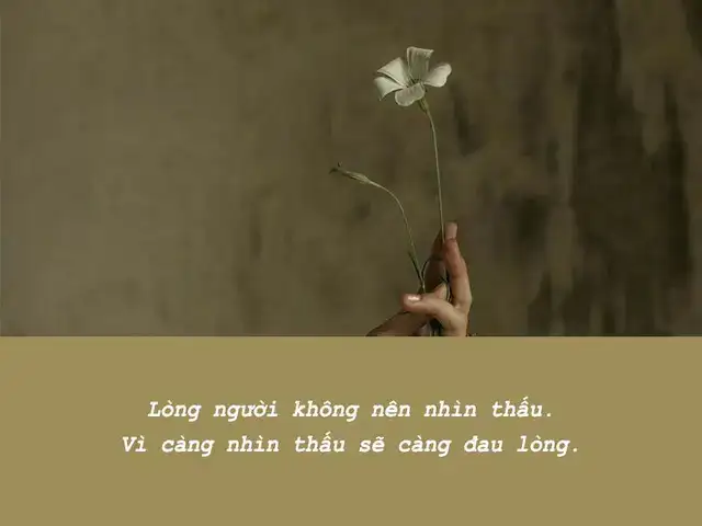 những câu nói thấm thía về vợ chồng những câu nói thấm thía về vợ chồng