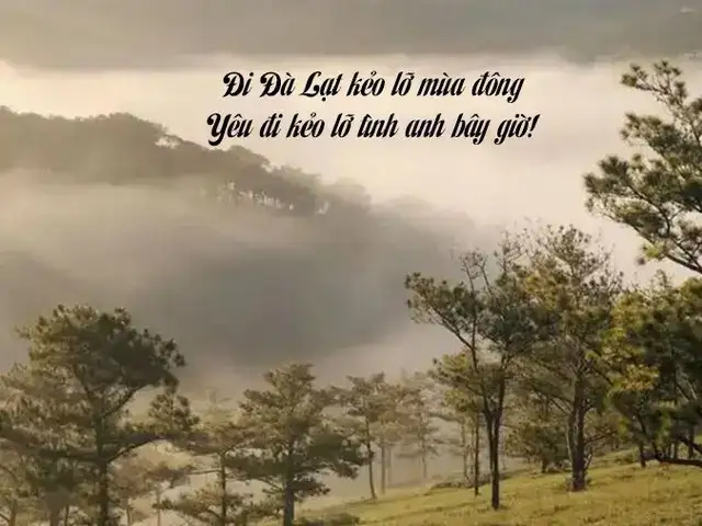 câu nói hay về đà lạt câu nói hay về đà lạt