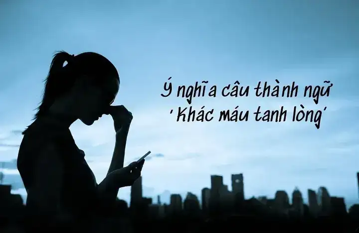 câu nói hay về khác máu tanh lòng câu nói hay về khác máu tanh lòng