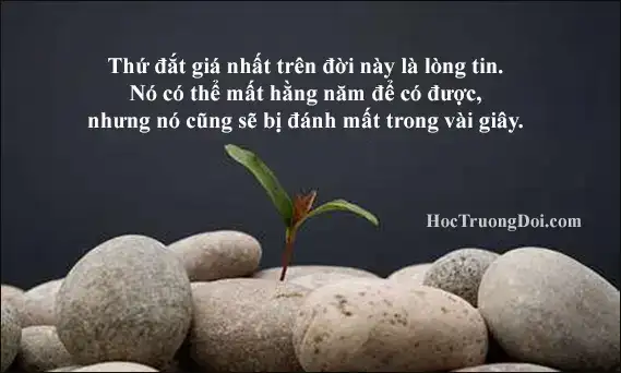 câu nói hay về lòng tin câu nói hay về lòng tin