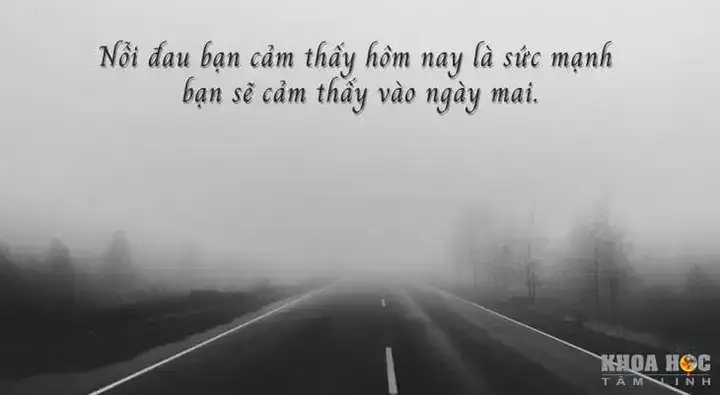 câu nói hay về lòng tin câu nói hay về lòng tin