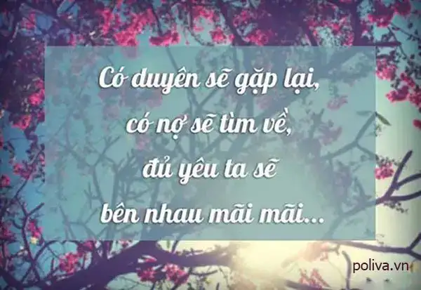 câu nói hay về sói