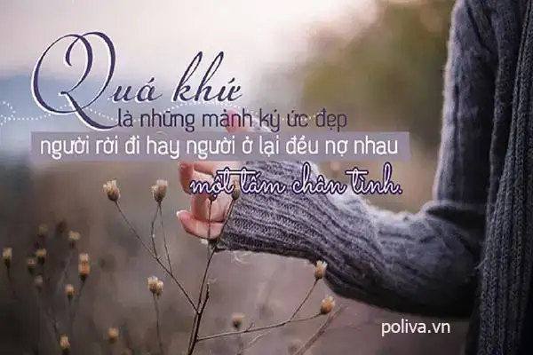 câu nói hay về sói