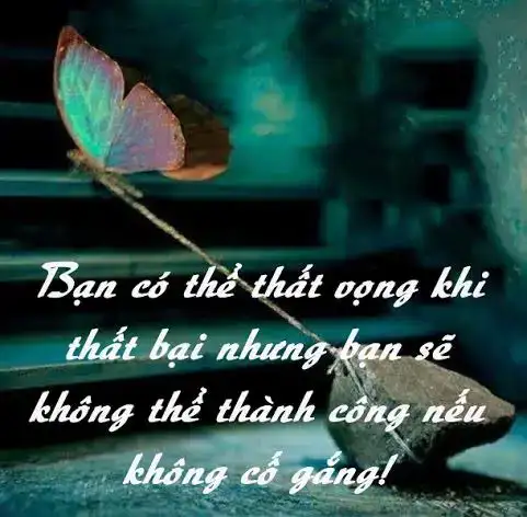 những câu nói cố gắng