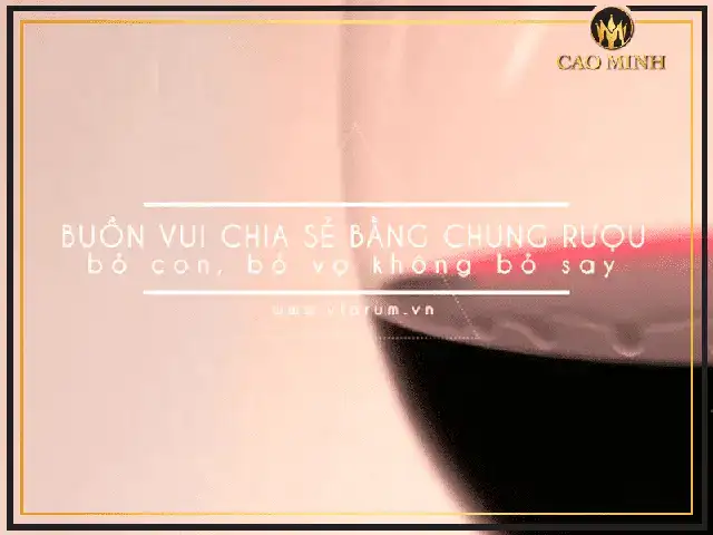 những câu nói hay về rượu