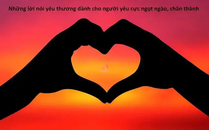 những câu nói cảm ơn người yêu