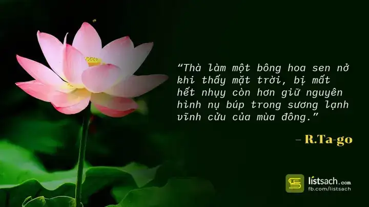 top những câu nói truyền cảm hứng top những câu nói truyền cảm hứng