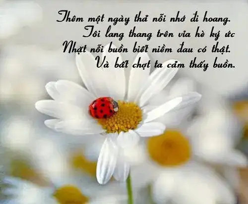 những câu nói khi nhờ vả người những câu nói khi nhờ vả người