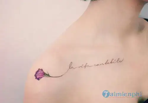 những câu nói ý nghĩa về hình xăm những câu nói ý nghĩa về hình xăm