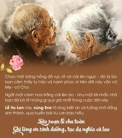 những câu nói xin lỗi cha mẹ hay