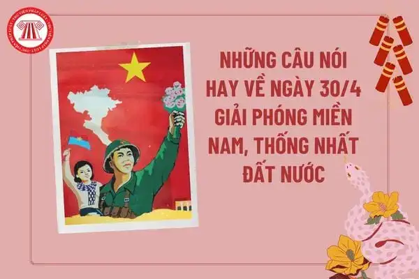 những câu nói miền bắc