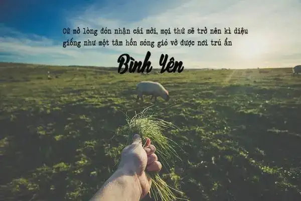 những câu nói hay về đom đóm những câu nói hay về đom đóm