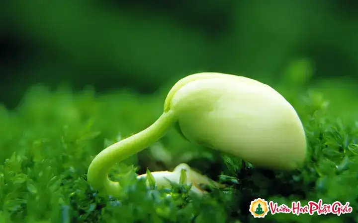 những câu nói ý nghĩa làm thay đổi cuộc đời những câu nói ý nghĩa làm thay đổi cuộc đời