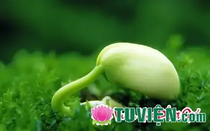 những câu nói ý nghĩa làm thay đổi cuộc đời những câu nói ý nghĩa làm thay đổi cuộc đời