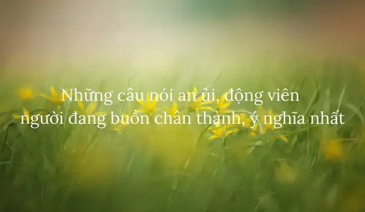 những câu nói khuyên người thất tình những câu nói khuyên người thất tình