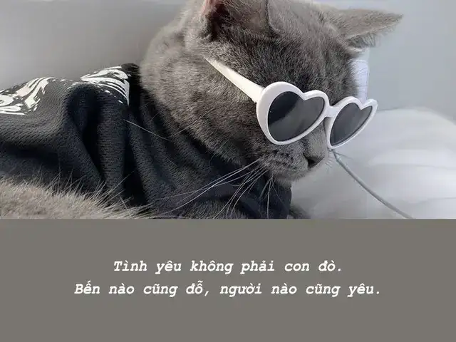 những câu nói hay về tình yêu vui nhộn những câu nói hay về tình yêu vui nhộn