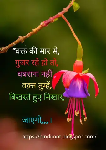 những câu nói chạm đến trái tim những câu nói chạm đến trái tim