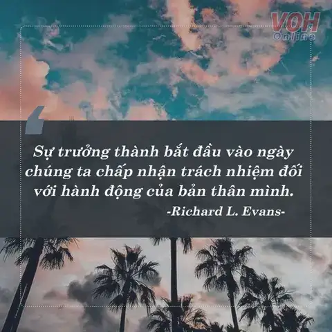 câu nói hay về sự trưởng thành câu nói hay về sự trưởng thành