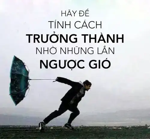 câu nói hay về sự trưởng thành câu nói hay về sự trưởng thành