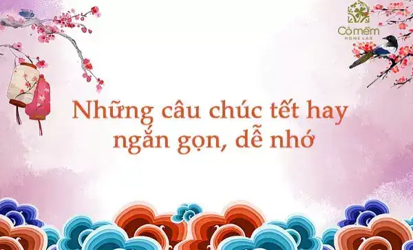 những câu nói chúc tết hay nhất những câu nói chúc tết hay nhất