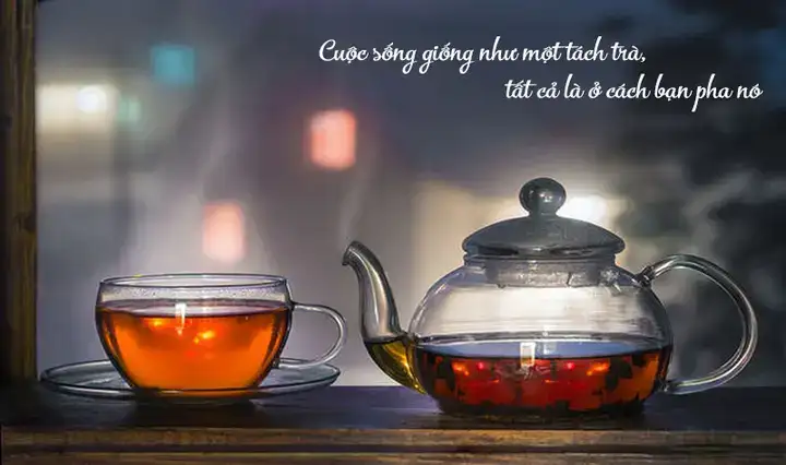 những câu nói hay về trả thù những câu nói hay về trả thù