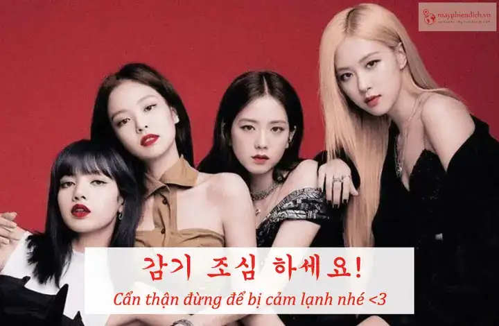 những câu nói fan dành cho idol những câu nói fan dành cho idol