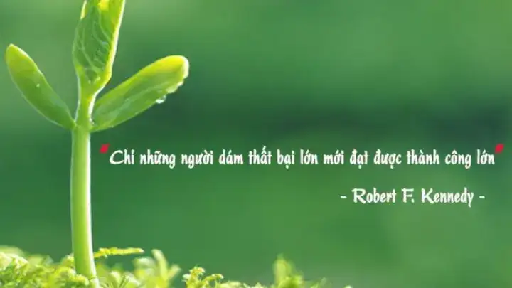 những câu nói châm biếm về công việc những câu nói châm biếm về công việc