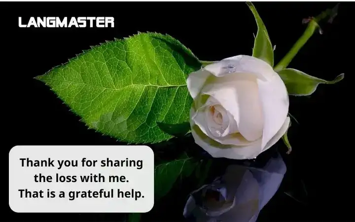 những câu nói chia buồn bằng tiếng anh những câu nói chia buồn bằng tiếng anh