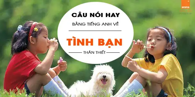 câu nói về tình bạn bằng tiếng anh