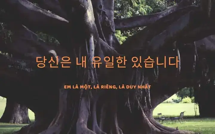 câu nói tiếng hàn hay về tình yêu câu nói tiếng hàn hay về tình yêu