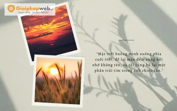 những câu nói hay về màn đêm những câu nói hay về màn đêm