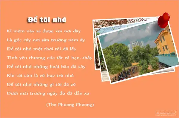 câu nói hay về trường học