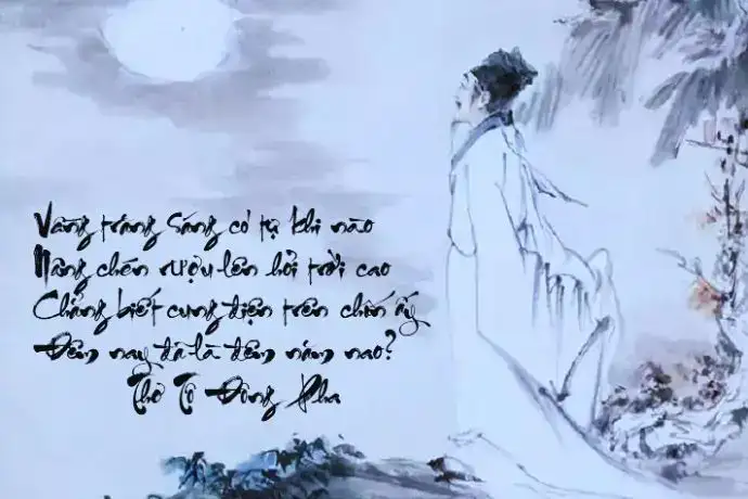 những câu nói hay về hoa tuyết những câu nói hay về hoa tuyết