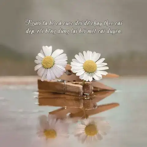 câu nói hay về duyên nợ