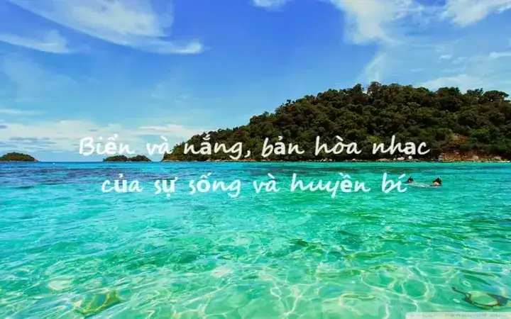 câu nói hay về nắng và biển