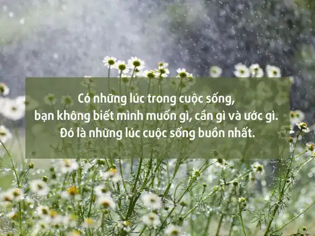 những câu nói bất lực những câu nói bất lực