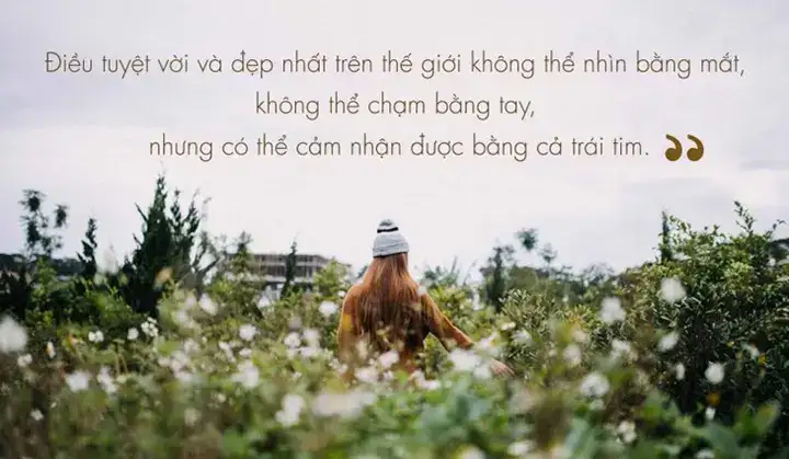 câu nói hay về cuộc sống tươi đẹp