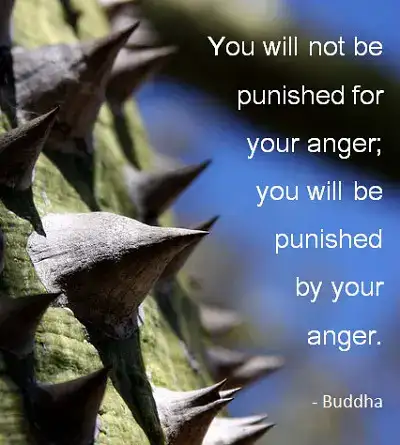 câu nói tiếng anh về phật giáo câu nói tiếng anh về phật giáo