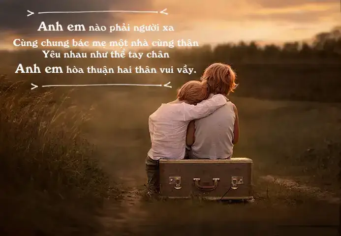 nhưng câu nói hay về tình anh em nhưng câu nói hay về tình anh em
