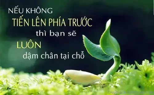 những câu nói khó khăn trong cuộc sống những câu nói khó khăn trong cuộc sống