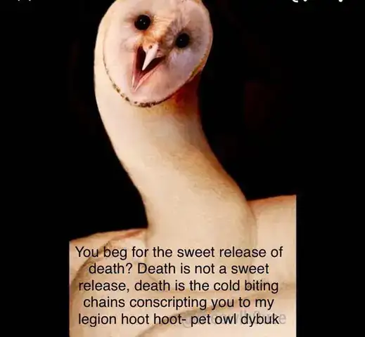 bing chilling câu nói bing chilling câu nói