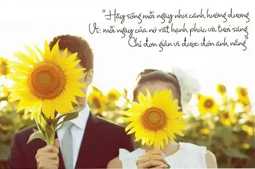 câu nói hay về hoa hướng dương câu nói hay về hoa hướng dương