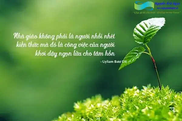 câu nói hay về nghề giáo câu nói hay về nghề giáo