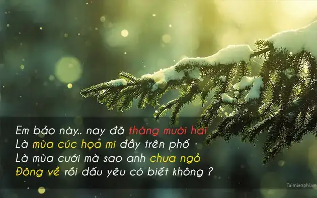 câu nói hay tháng 12 câu nói hay tháng 12