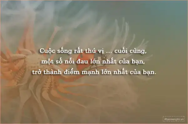 câu nói hay về sắc màu cuộc sống