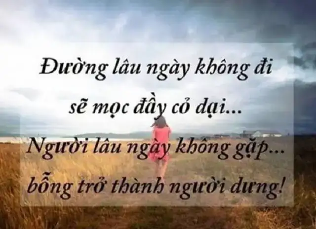 những câu nói hay về tình yêu dang dở những câu nói hay về tình yêu dang dở