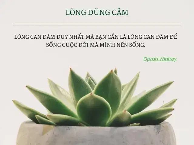câu nói về lòng dũng cảm câu nói về lòng dũng cảm